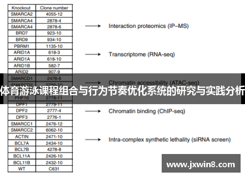 体育游泳课程组合与行为节奏优化系统的研究与实践分析